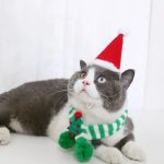 Adjustable Winter Knit Scarf Collar for Small Dogs & Cats – Christmas Style - Image 5