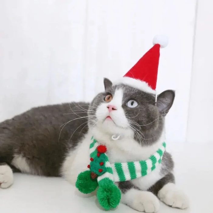 Adjustable Winter Knit Scarf Collar for Small Dogs & Cats – Christmas Style - Image 5