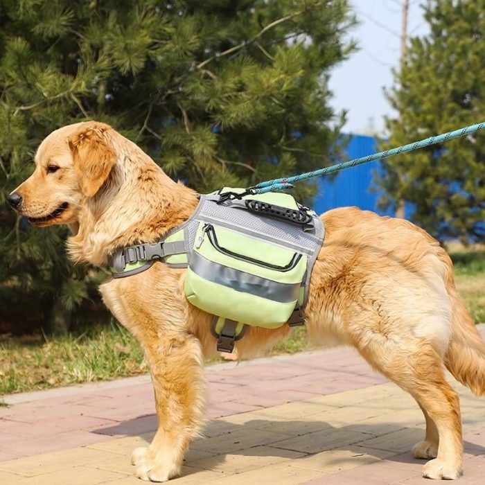Outdoor Adventure Backpack for Large Dogs – Durable & Adjustable - Image 1