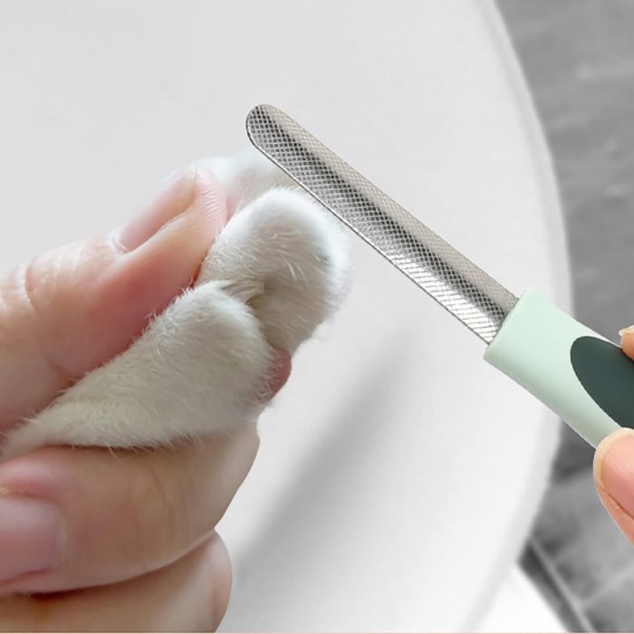 Professional Complete Pet Grooming Set for Dogs & Cats - Image 9