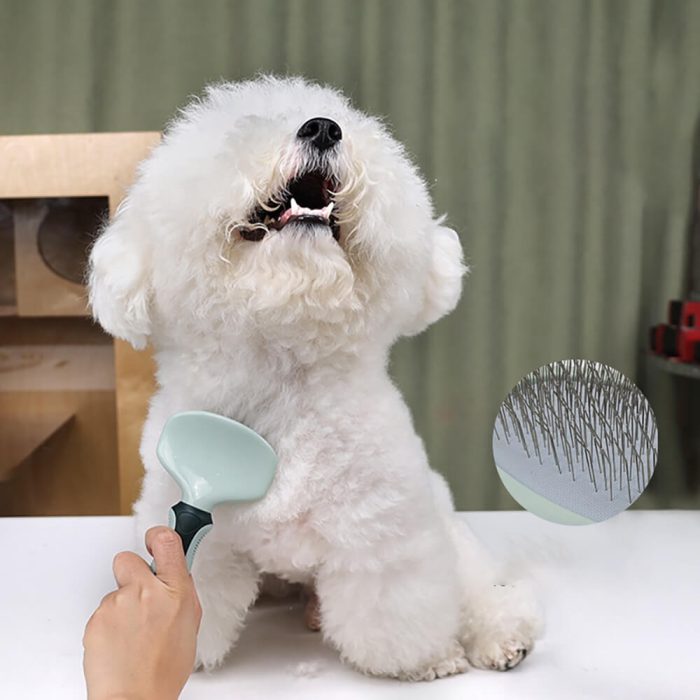 Professional Complete Pet Grooming Set for Dogs & Cats - Image 8