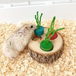 Wooden Pet Foraging Snack Box for Rabbits & Guinea Pigs