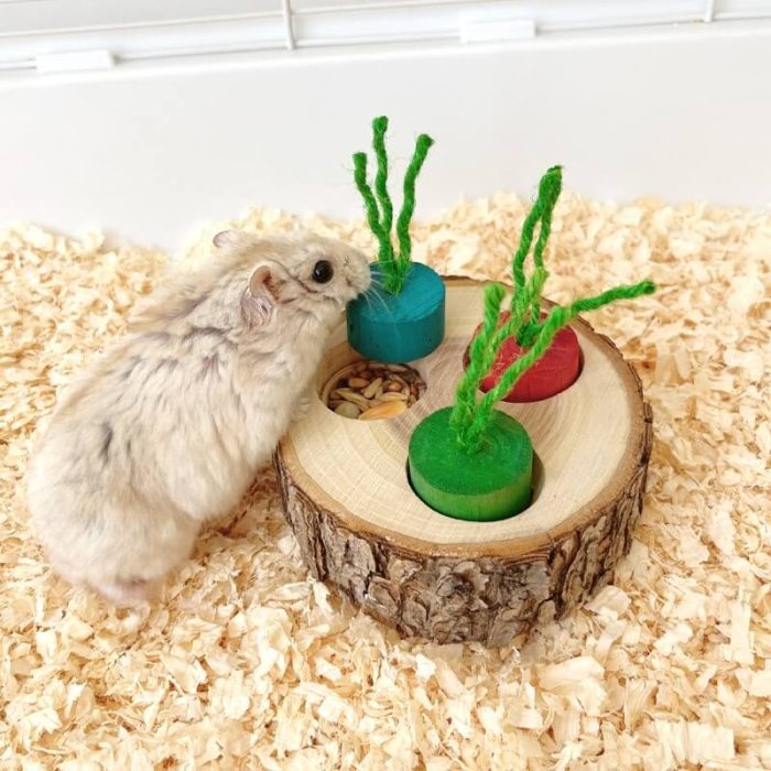Wooden Pet Foraging Snack Box for Rabbits & Guinea Pigs - Image 1