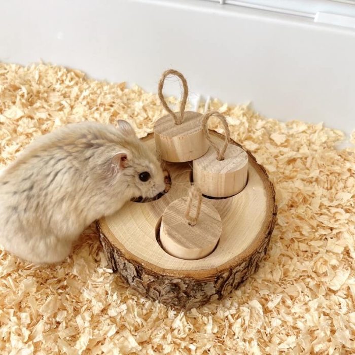 Wooden Pet Foraging Snack Box for Rabbits & Guinea Pigs - Image 2