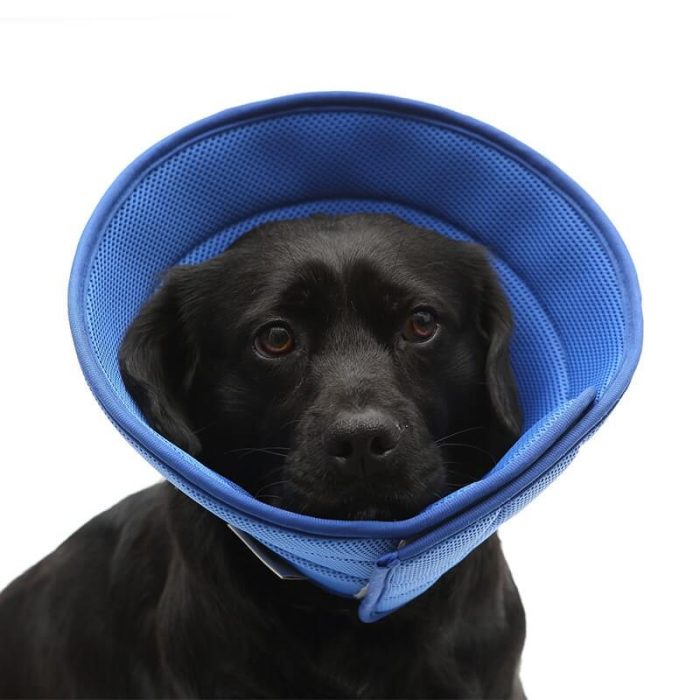 Soft Recovery Collar for Dogs & Cats - Anti-Bite, Adjustable - Image 1