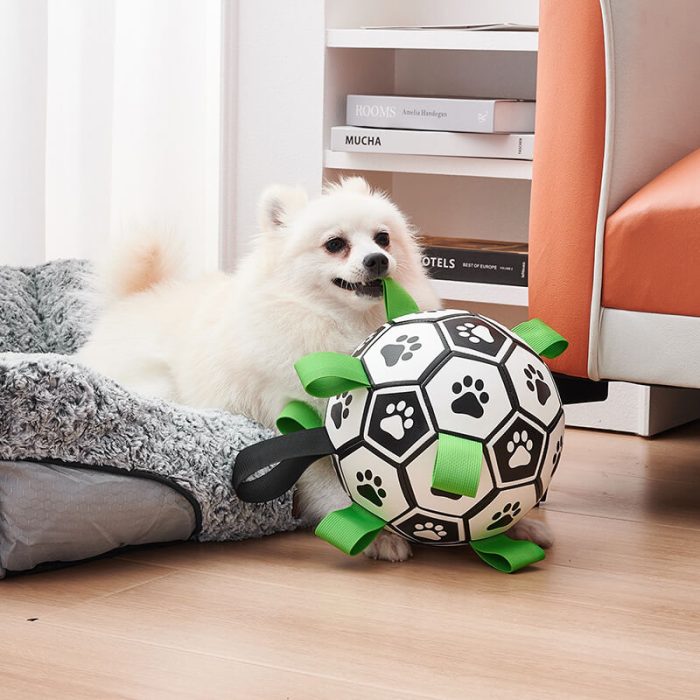 Interactive Dog Football Toy - Inflatable Ball with Tabs - Image 3