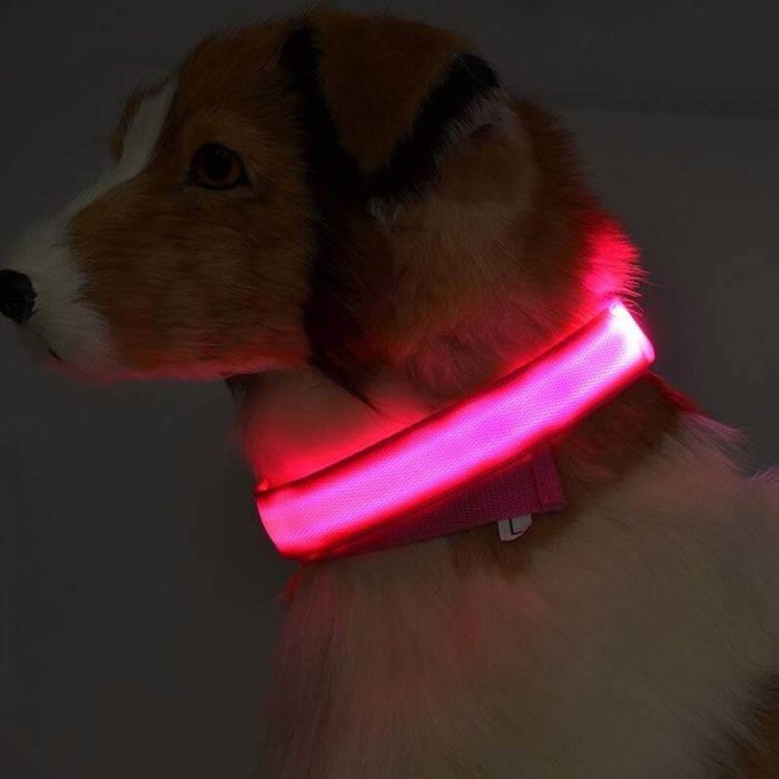 LED Luminous Pet Collar - Adjustable Night Safety Glow Collar - Image 1