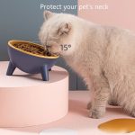 Elevated Tilted Pet Feeding Bowl with Stand - Nordic Anti-Spill Design - Image 2