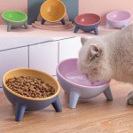 Elevated Tilted Pet Feeding Bowl with Stand - Nordic Anti-Spill Design