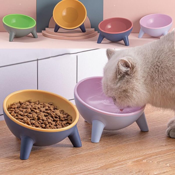 Elevated Tilted Pet Feeding Bowl with Stand - Nordic Anti-Spill Design - Image 1